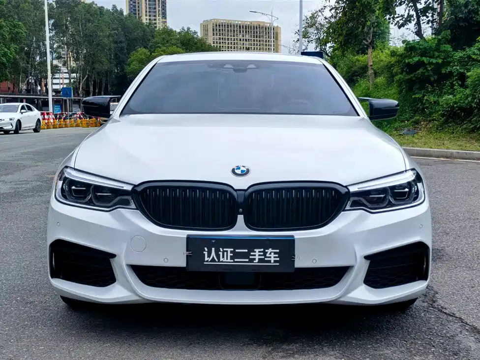 BMW 5 Series 2019 Facelift 530Li Premium M Sport Package фото 2