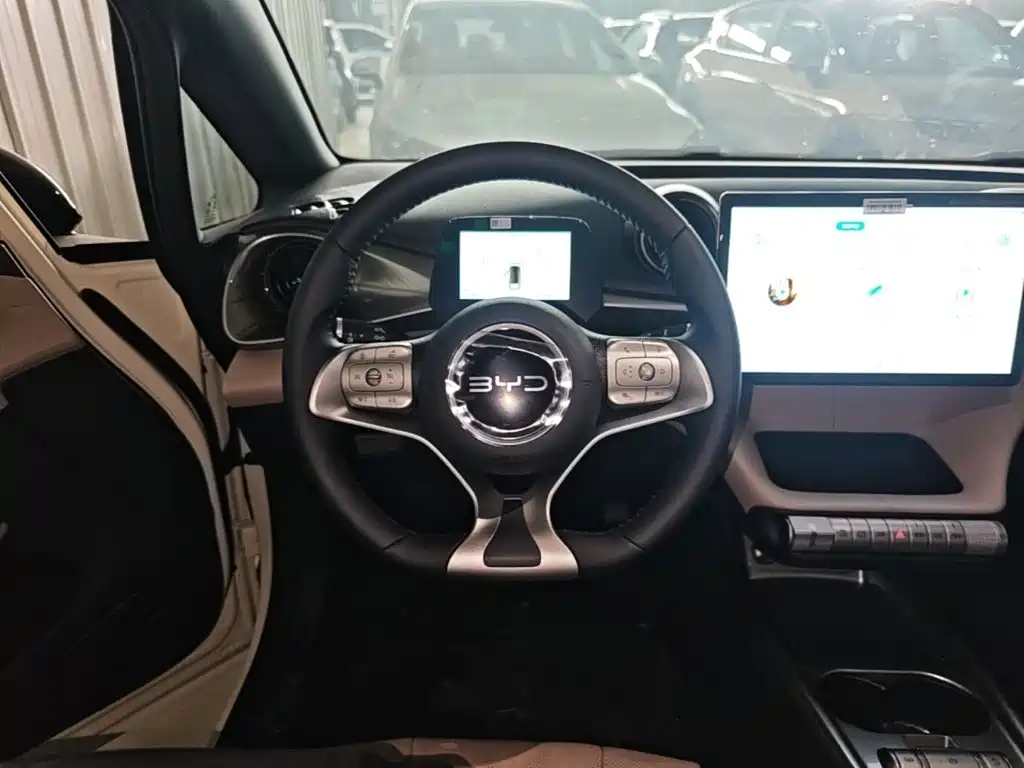 BYD Dolphin 2026 2025 420km Freedom Edition
