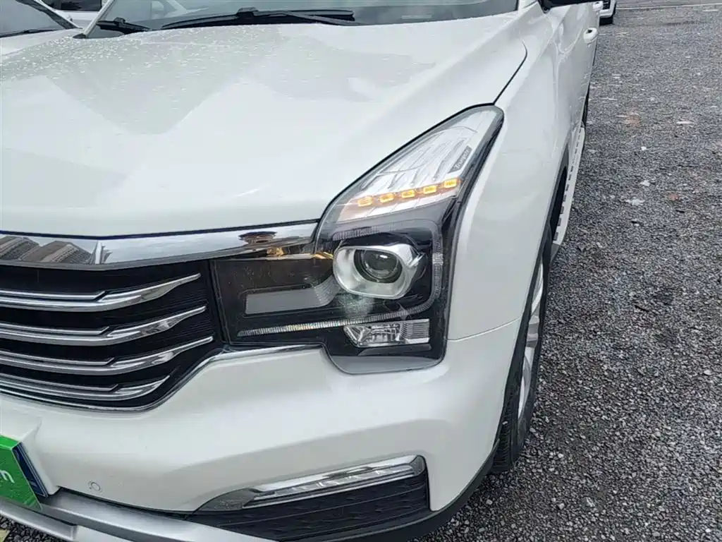 GAC Trumpchi Trumpchi GS8 2017 320T 2WD Luxury Edition (7-Seater) фото 24