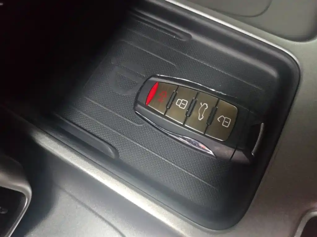 Haval Big Dog 2025 2024 1.5T DCT Border Collie Edition