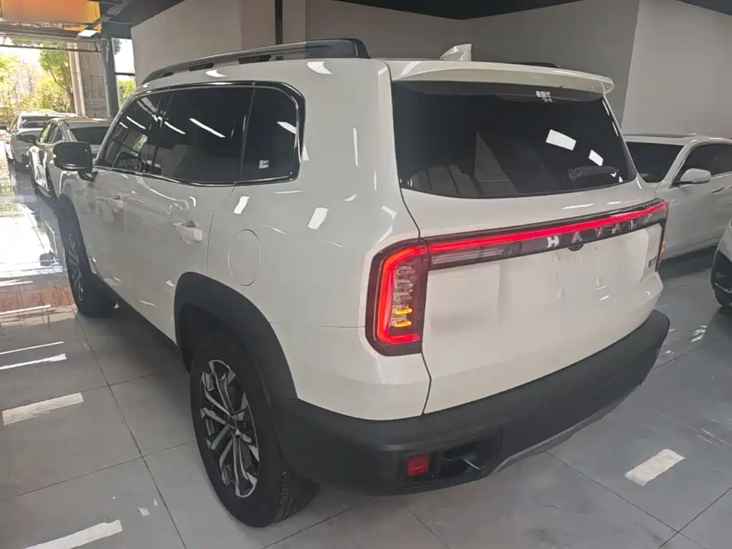 Haval Big Dog 2025 2024 1.5T DCT Border Collie Edition