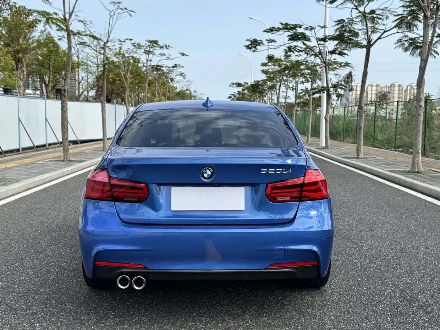 BMW 3 Series 2019 320Li M Luxury Package фото 8