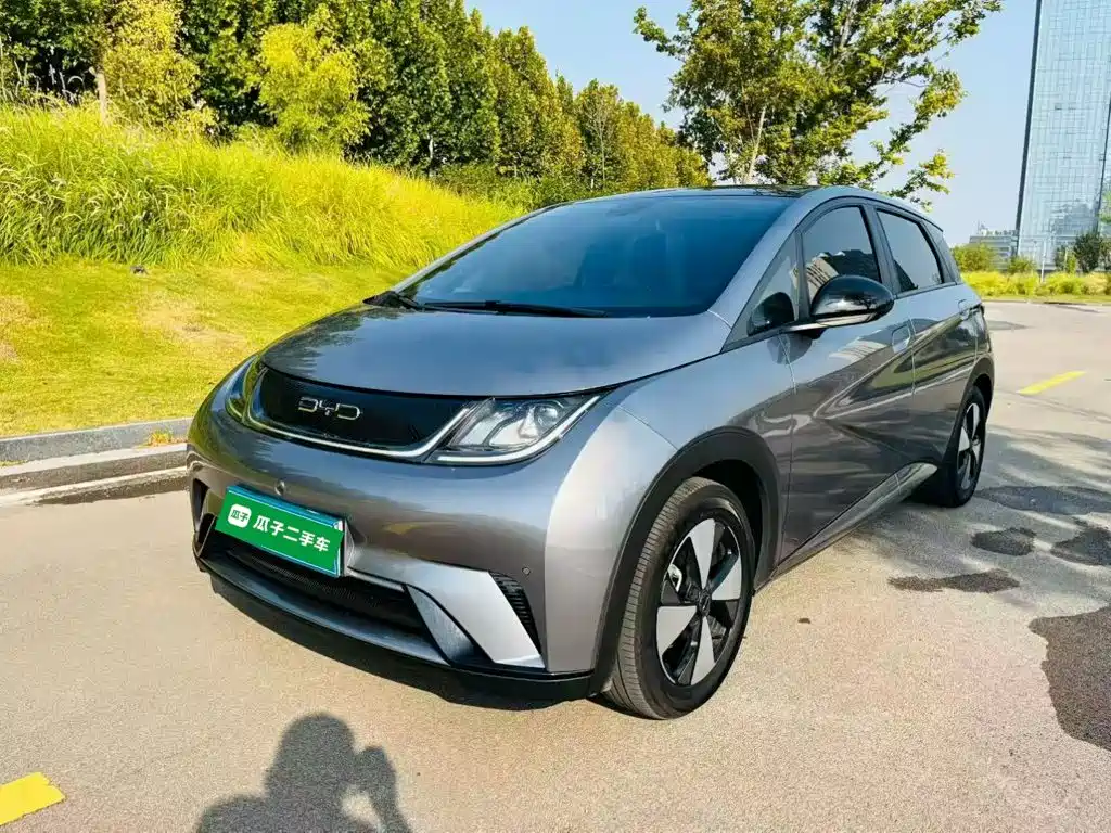 BYD Dolphin 2023 — пригон из Китая