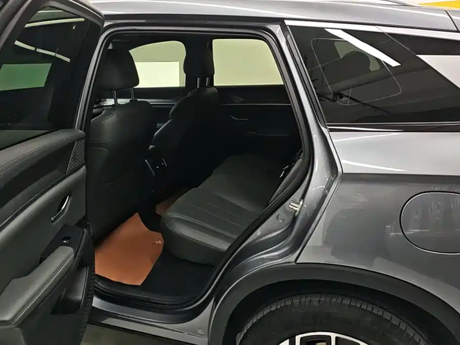 BYD SONGJIANG NEW ENERGY