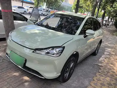 Neta V