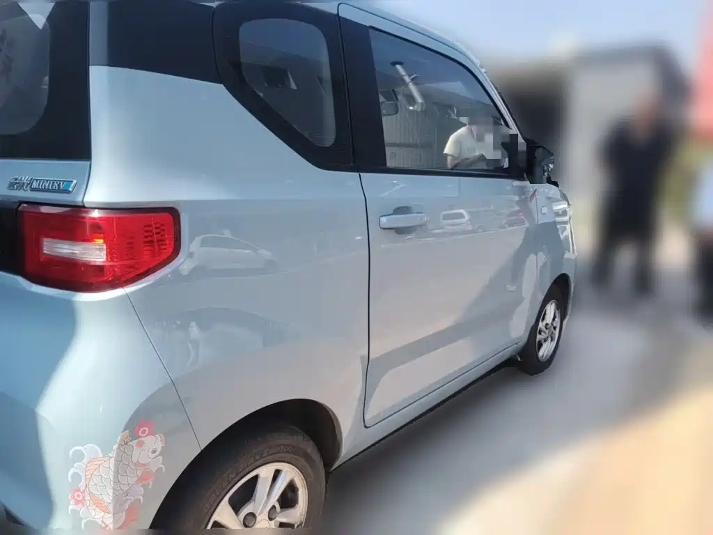 Wuling Motors Hongguang MINIEV 2020 2020 Freedom Edition (LFP Battery)