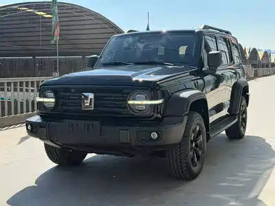 Tank 300