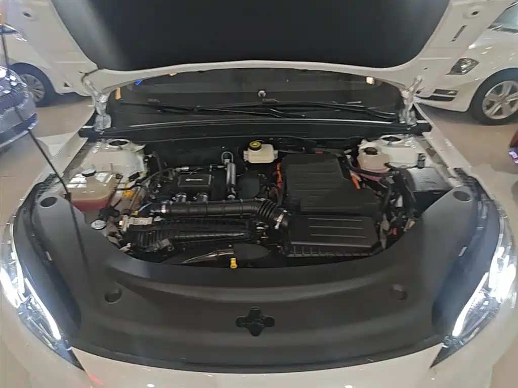 BYD Hai Bao 05 DM-i 2025 DM-i Smart Drive Edition 55KM Luxury фото 20
