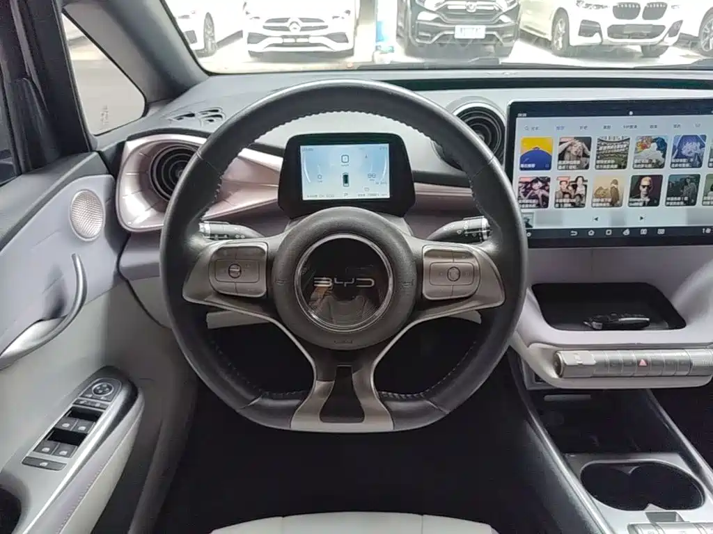 Фото 11 - BYD Dolphin