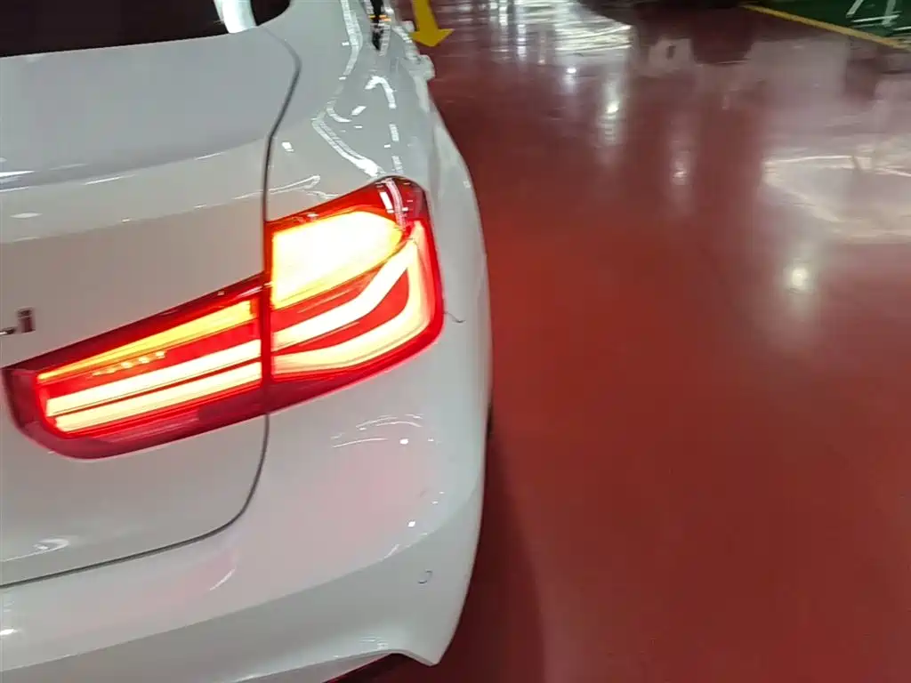 BMW 3 Series 2019 320Li M Sport Package фото 8