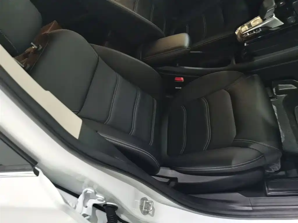 BYD Yuan New Energy 2019 EV535 Smart Connected Trend Leader Type фото 25