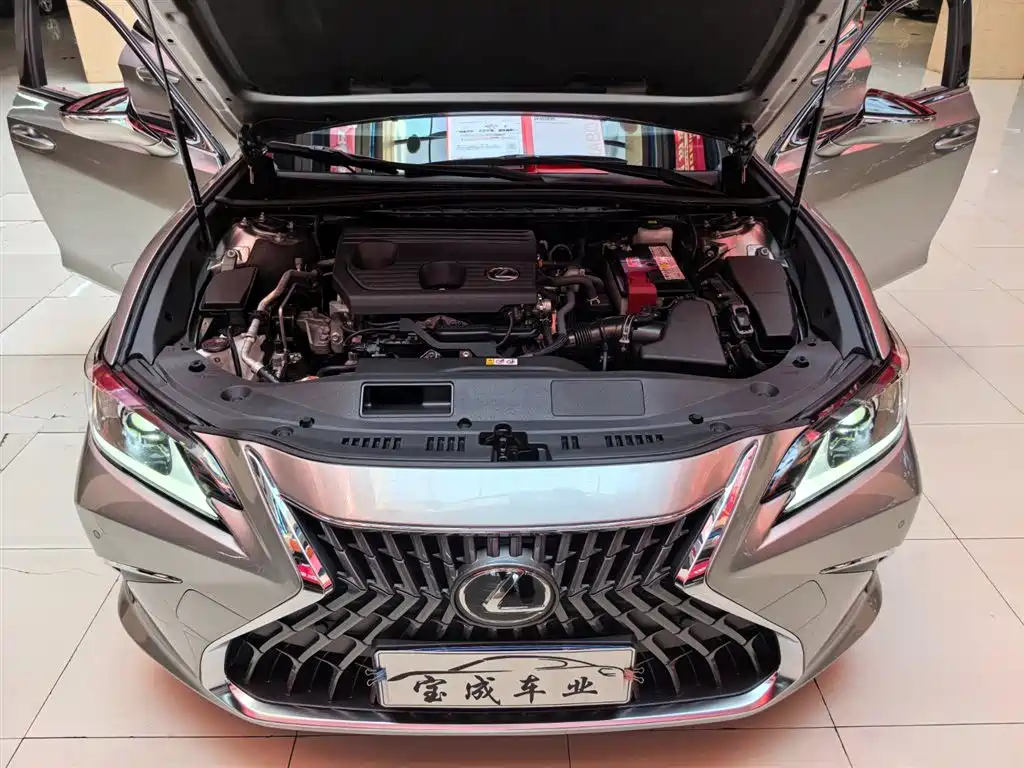 Lexus ES 2023 200 Excellence Edition фото 21