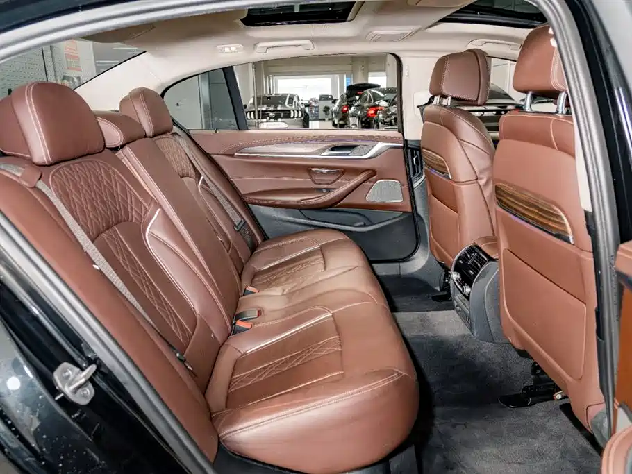 BMW 5 Series 2020 530Li Premium Luxury Package фото 24