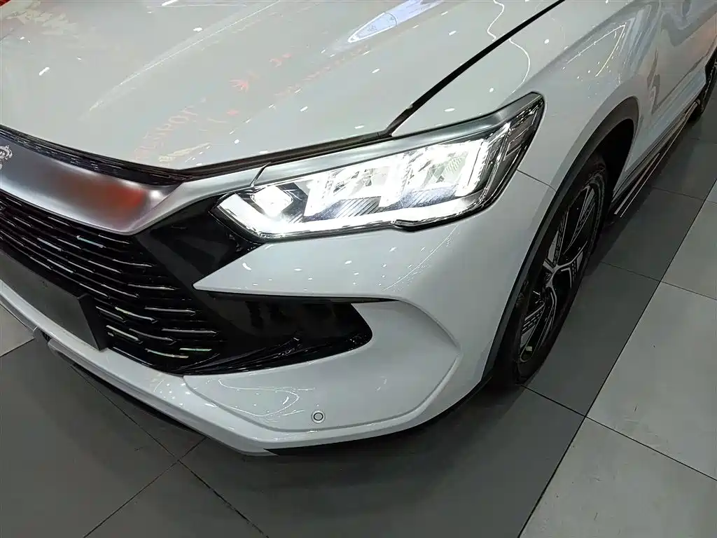 BYD Song Pro New Energy 2023 Champion Edition DM-i 110KM Excellence фото 24