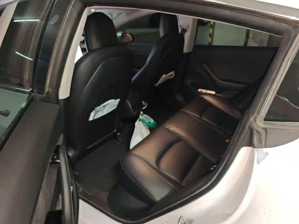Tesla Model 3 2020 2020 Standard Range Rear-Wheel Drive Upgrade