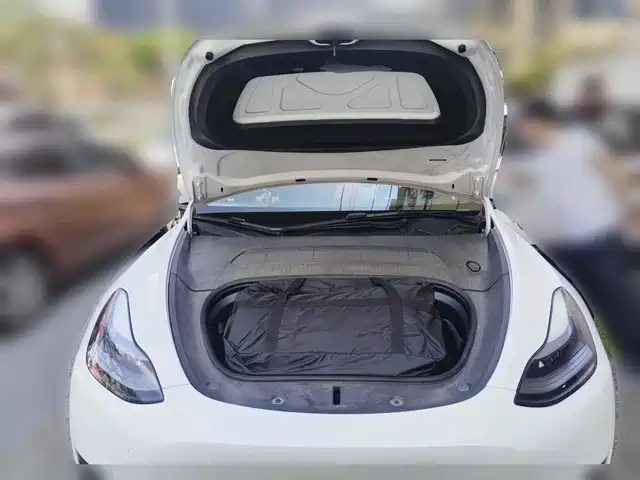 Tesla Model Y 2024 Rear-Wheel Drive Version — фото 3