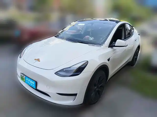 Tesla Model Y 2024 Rear-Wheel Drive Version — фото 1