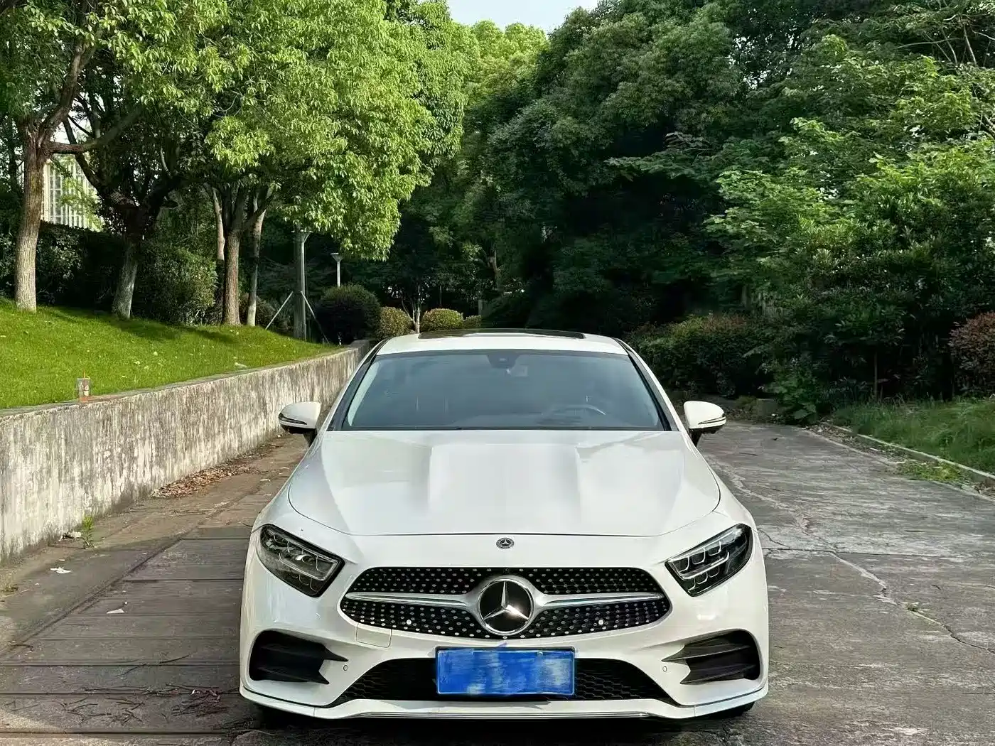 Mercedes-Benz CLS 2021 CLS 300 Luxury фото 2