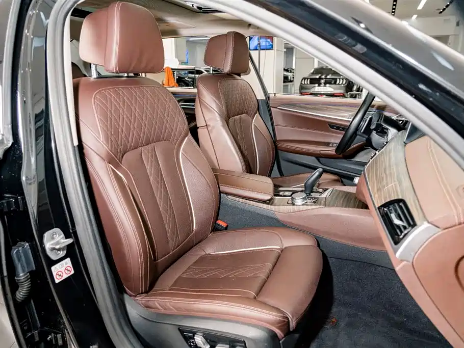 BMW 5 Series 2020 530Li Premium Luxury Package фото 22