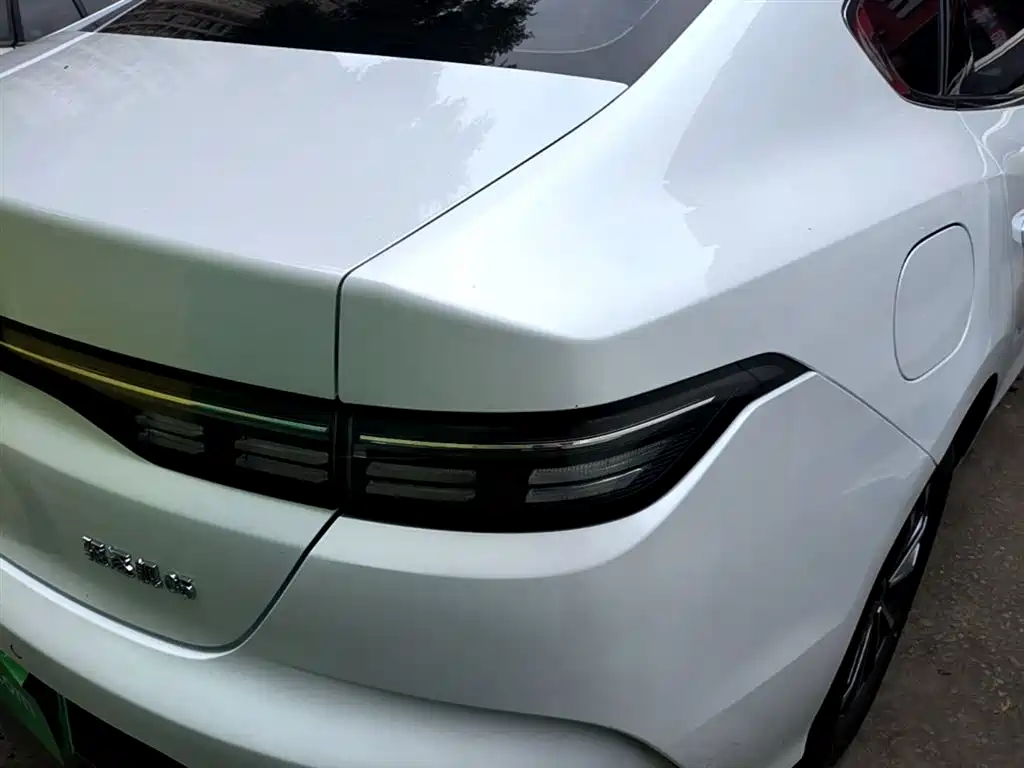 BYD Destroyer 05 2024 Glory Edition DM-i 55KM Luxury фото 8