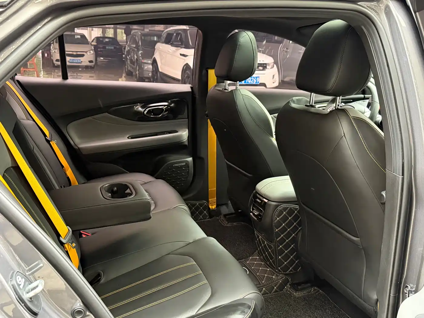 GAC TRUMPCHI SHADOW LEOPARD