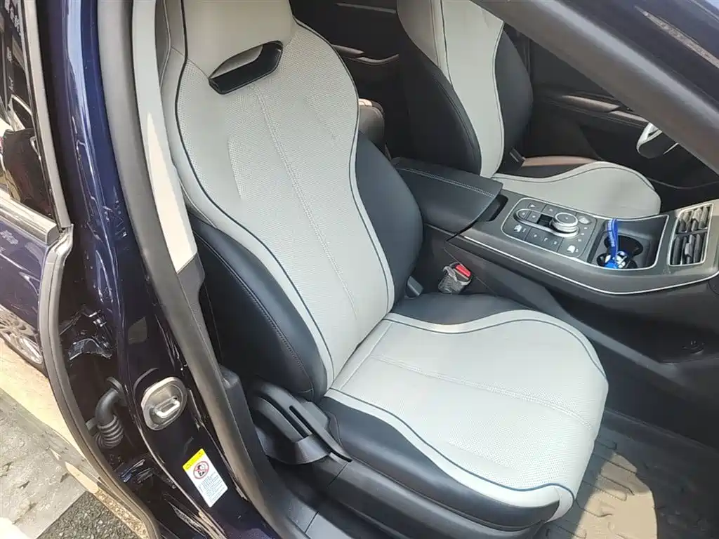 BYD Destroyer 05 2024 Glory Edition DM-i 55KM Luxury фото 25