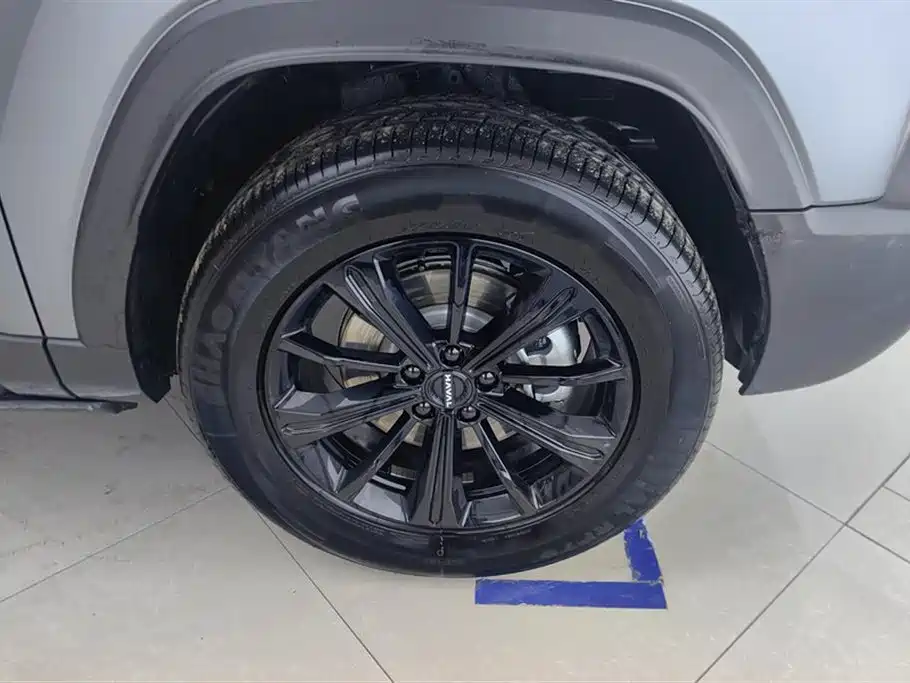 HAVAL RAPTORS NEW ENERGY