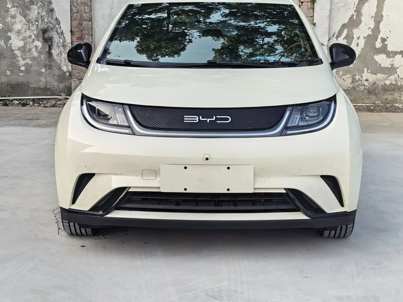 Фото 1 - BYD Dolphin