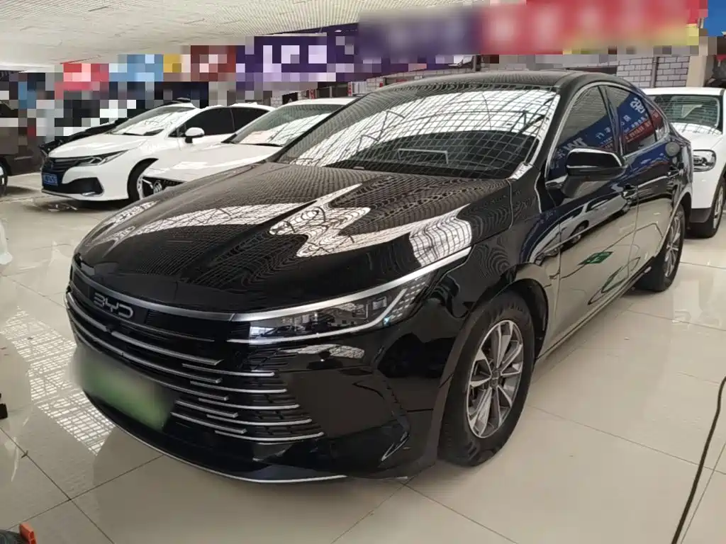 Фото 2 - BYD Destroyer 05