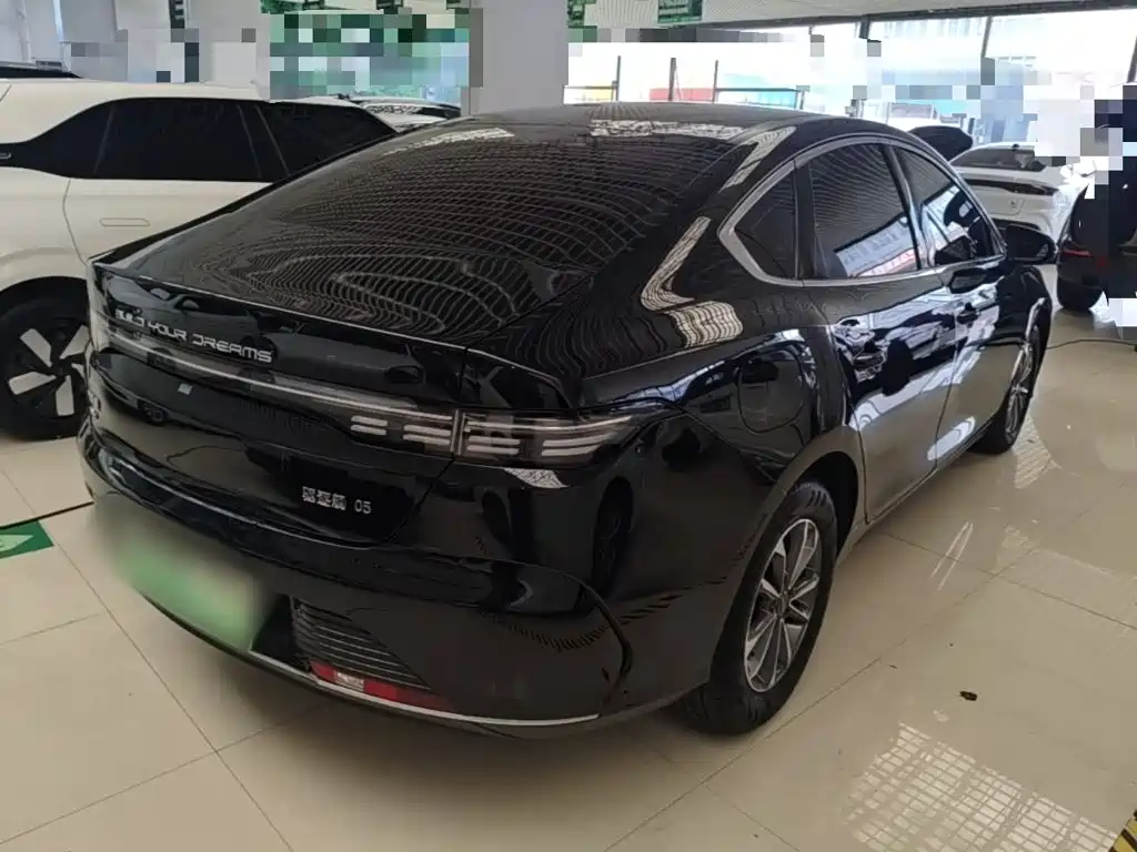 Фото 7 - BYD Destroyer 05