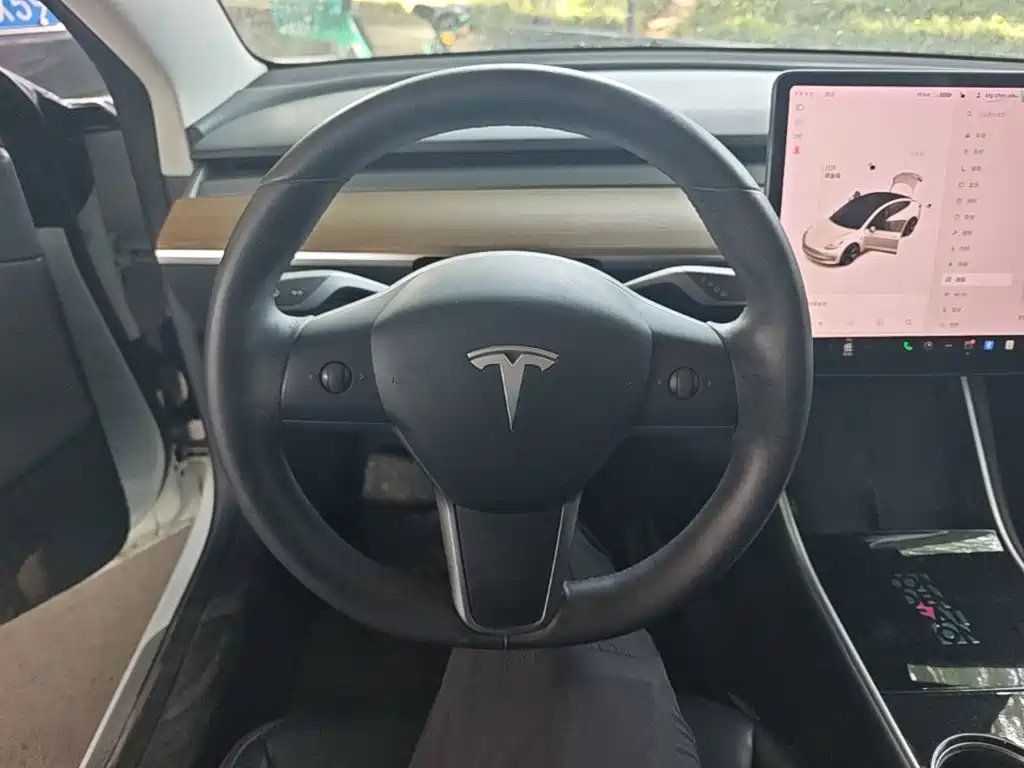 Tesla Model 3 (Import) 2019 2019 Standard Range RWD Upgraded Edition