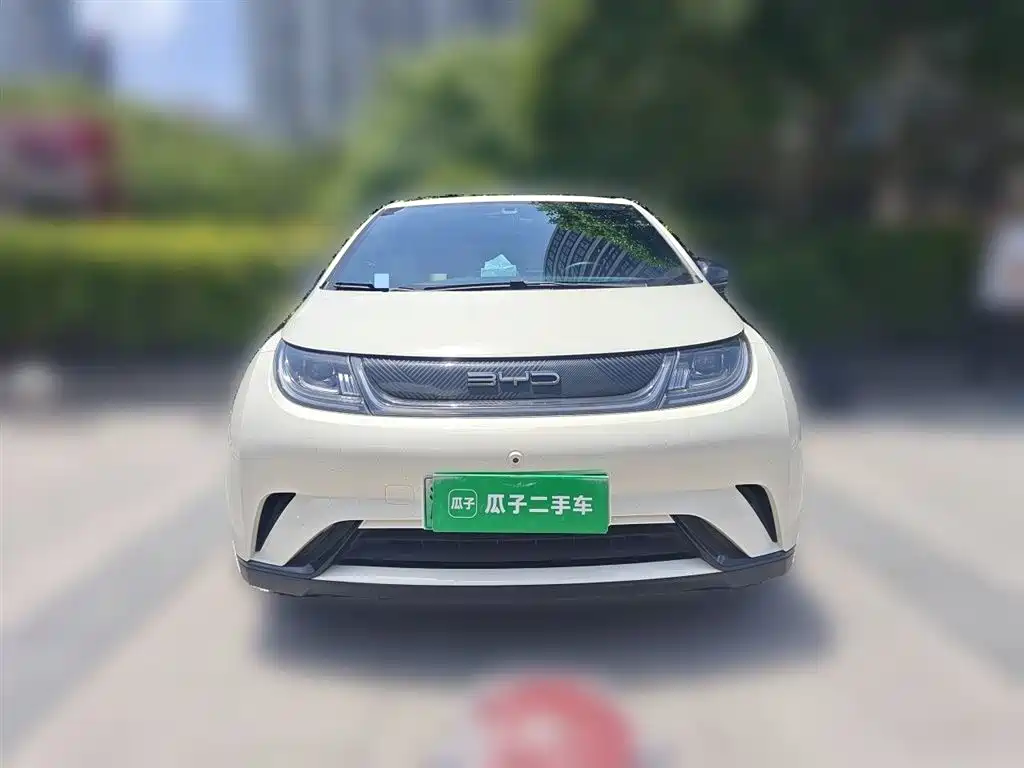 BYD Dolphin 2023 420km Freedom Edition фото 24
