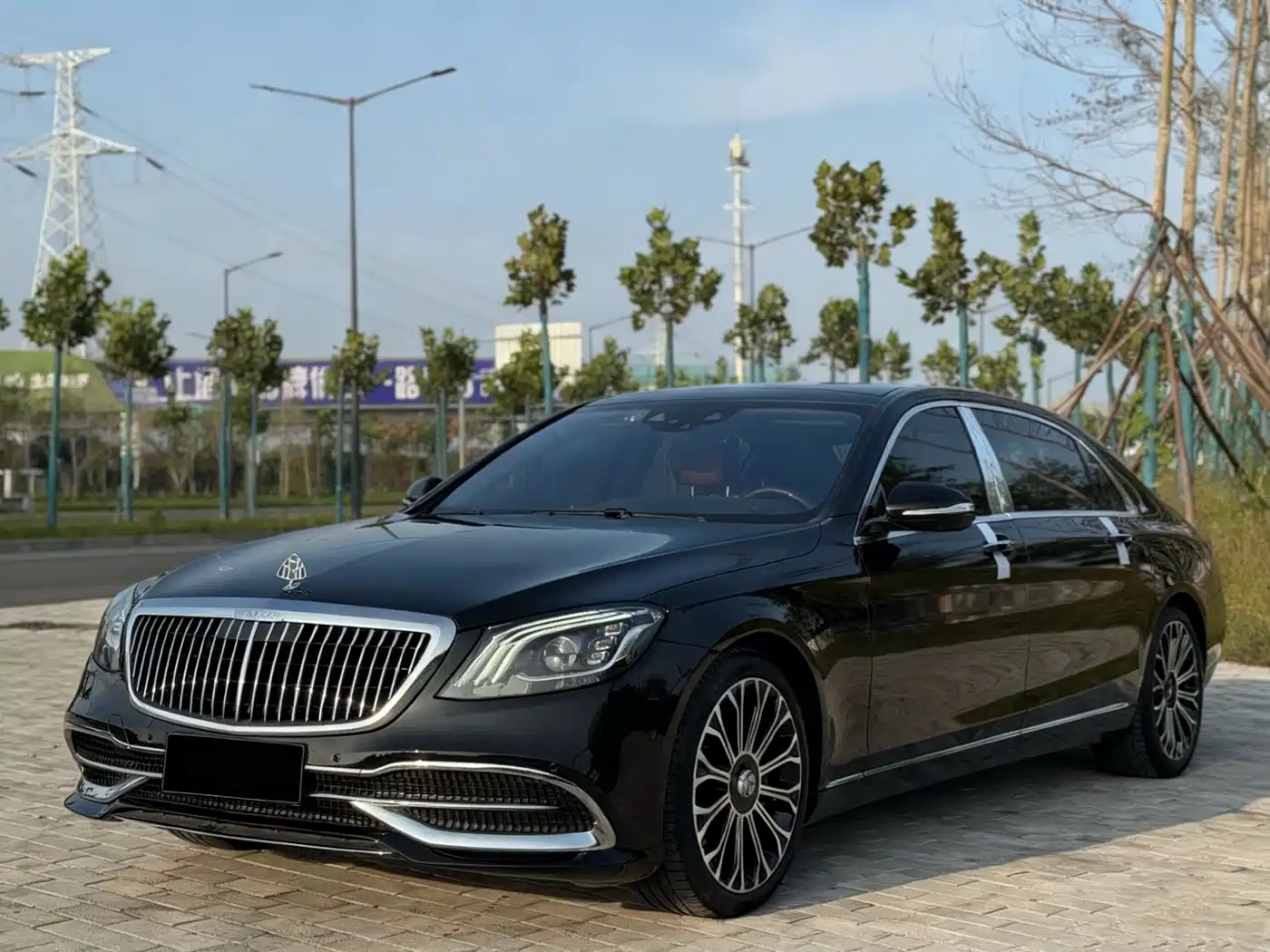 Mercedes-Benz Maybach S-Class 2019 S 450 4MATIC фото 2