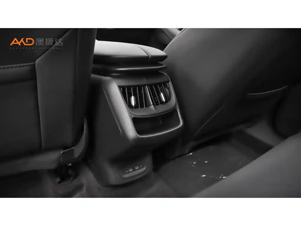 VOLKSWAGEN WITH THE CROWD 06