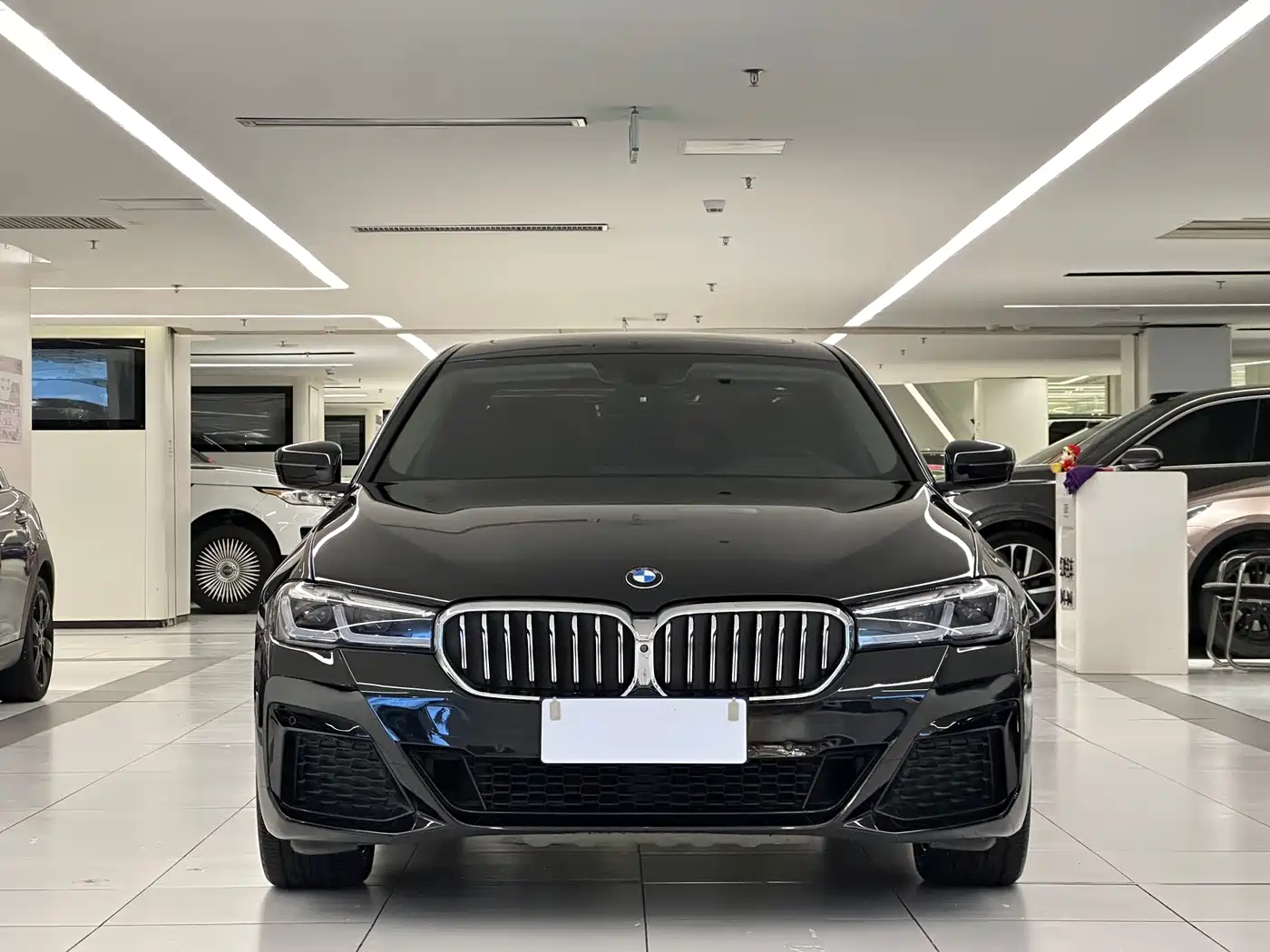 BMW 5 Series 2020 530Li Premium Luxury Package фото 2