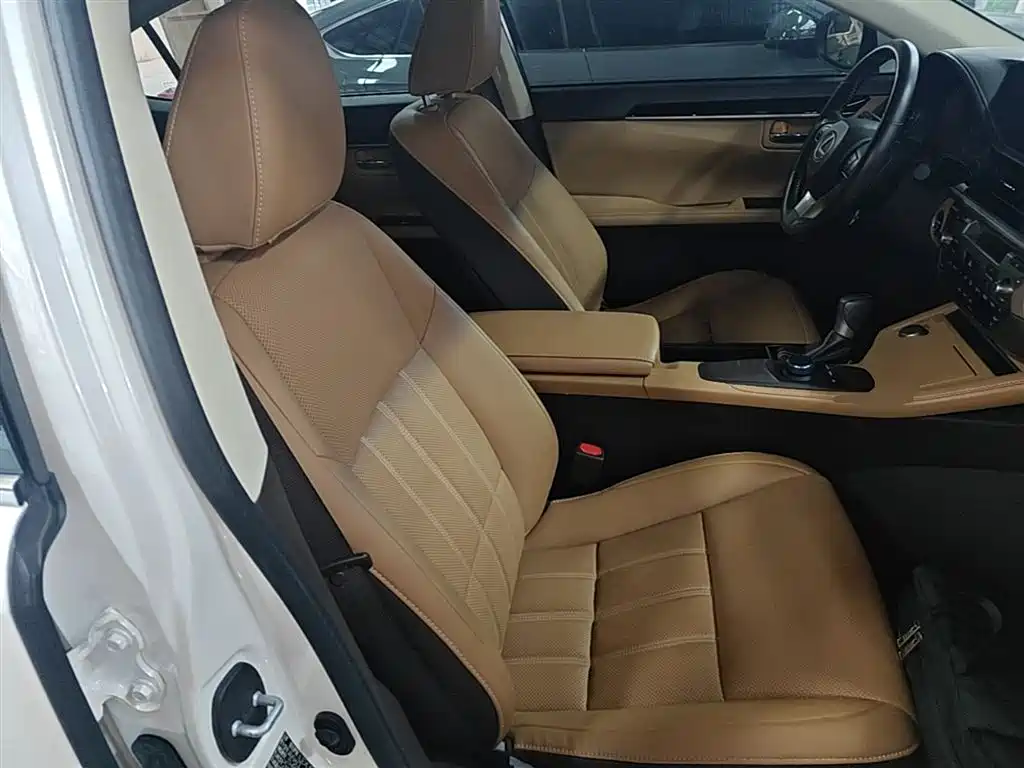 Lexus ES 2017 300h Mark Levinson Comfort Edition фото 25