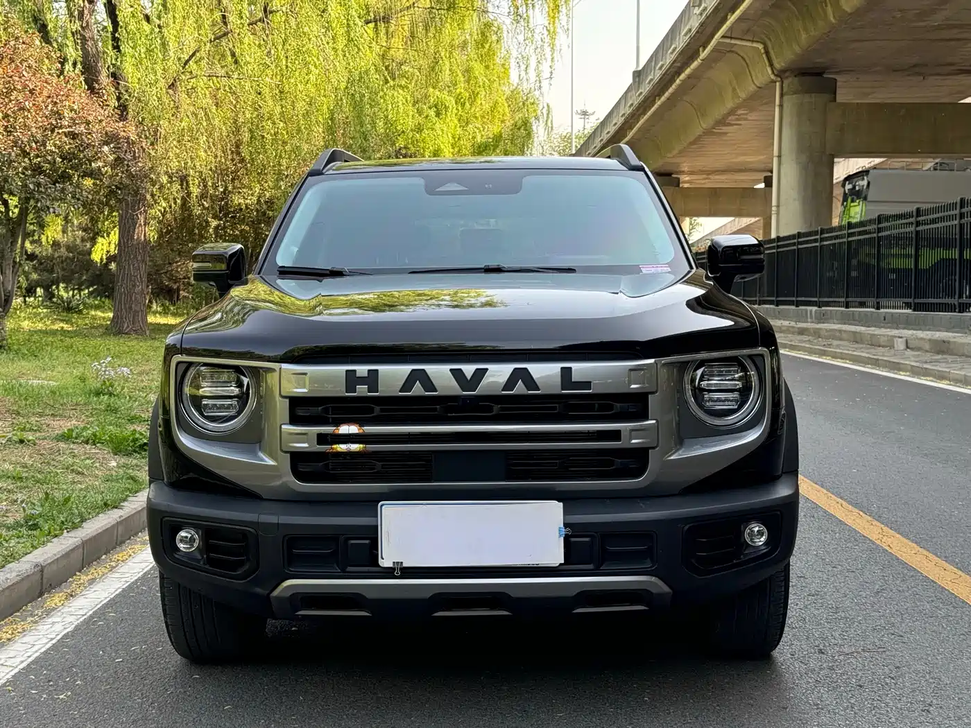 Haval Big Dog 2024 1.5T DCT Border Collie Edition фото 2