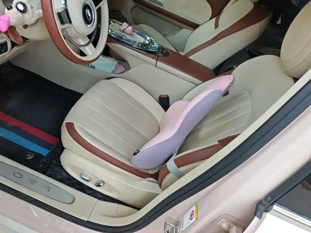Ora Ballet Cat 2024 2023 401km Premium Model