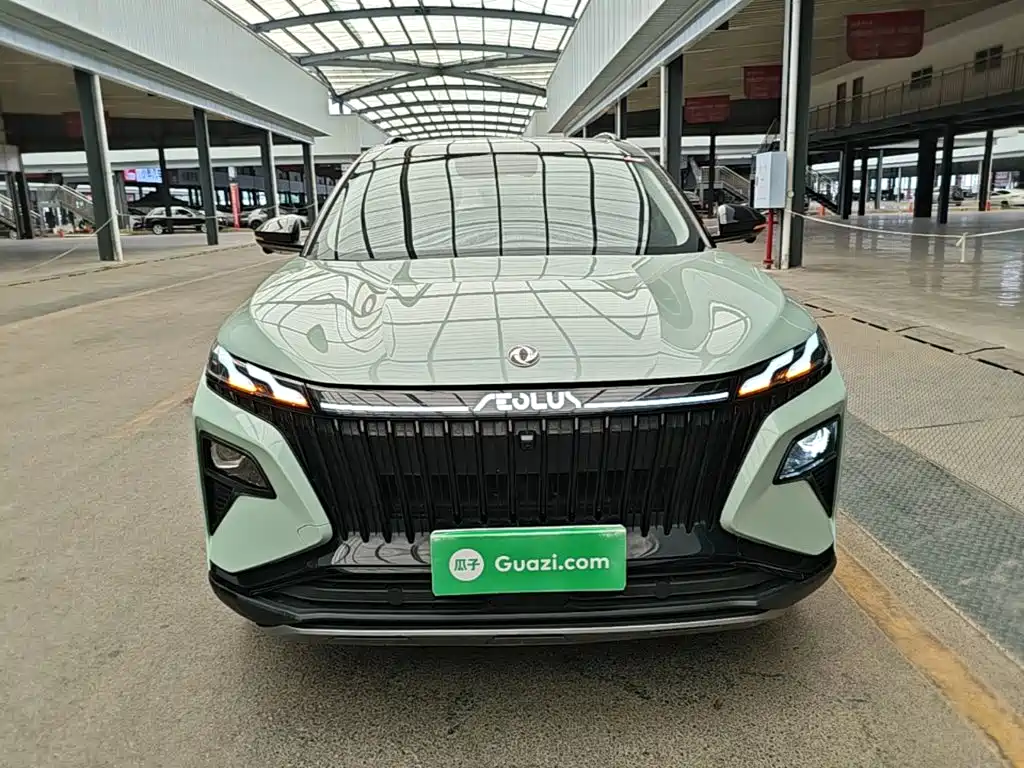 Фото 3 - Dongfeng Aeolus Haoji