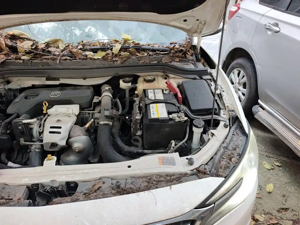 Фото 21 - Buick Excelle