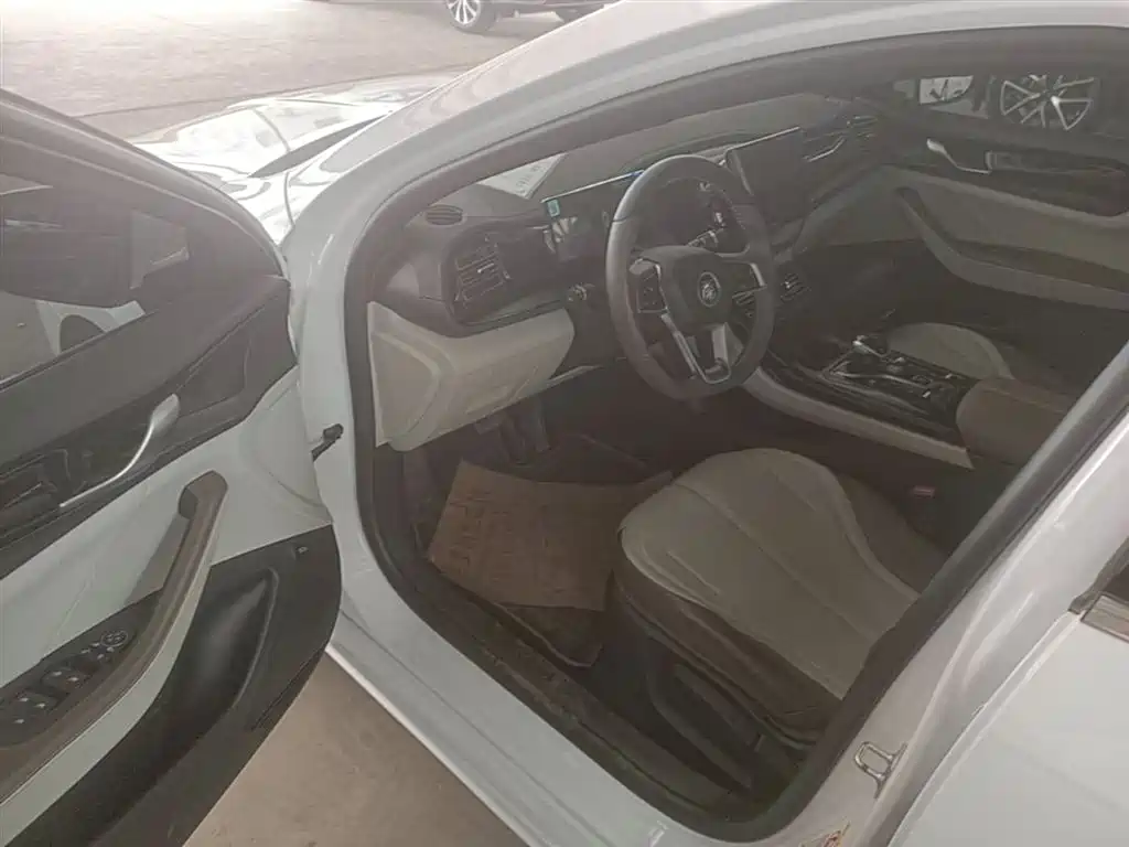 BYD Qin PLUS 2023 Champion Edition DM-i 55KM Leading фото 16