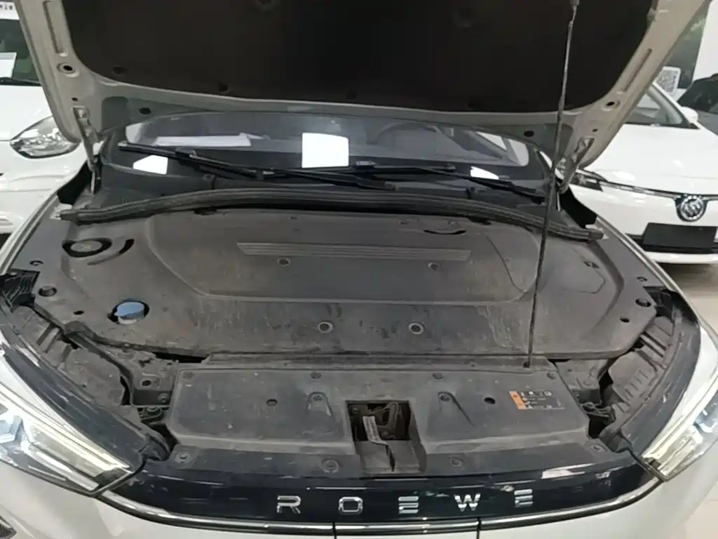 Roewe Ei5 2021 2021 500 Heartfelt Edition