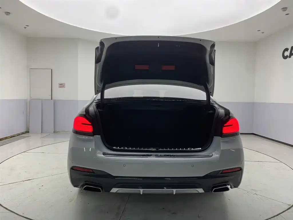 BMW 5 Series 2023 530Li Leading M Sport Package фото 29