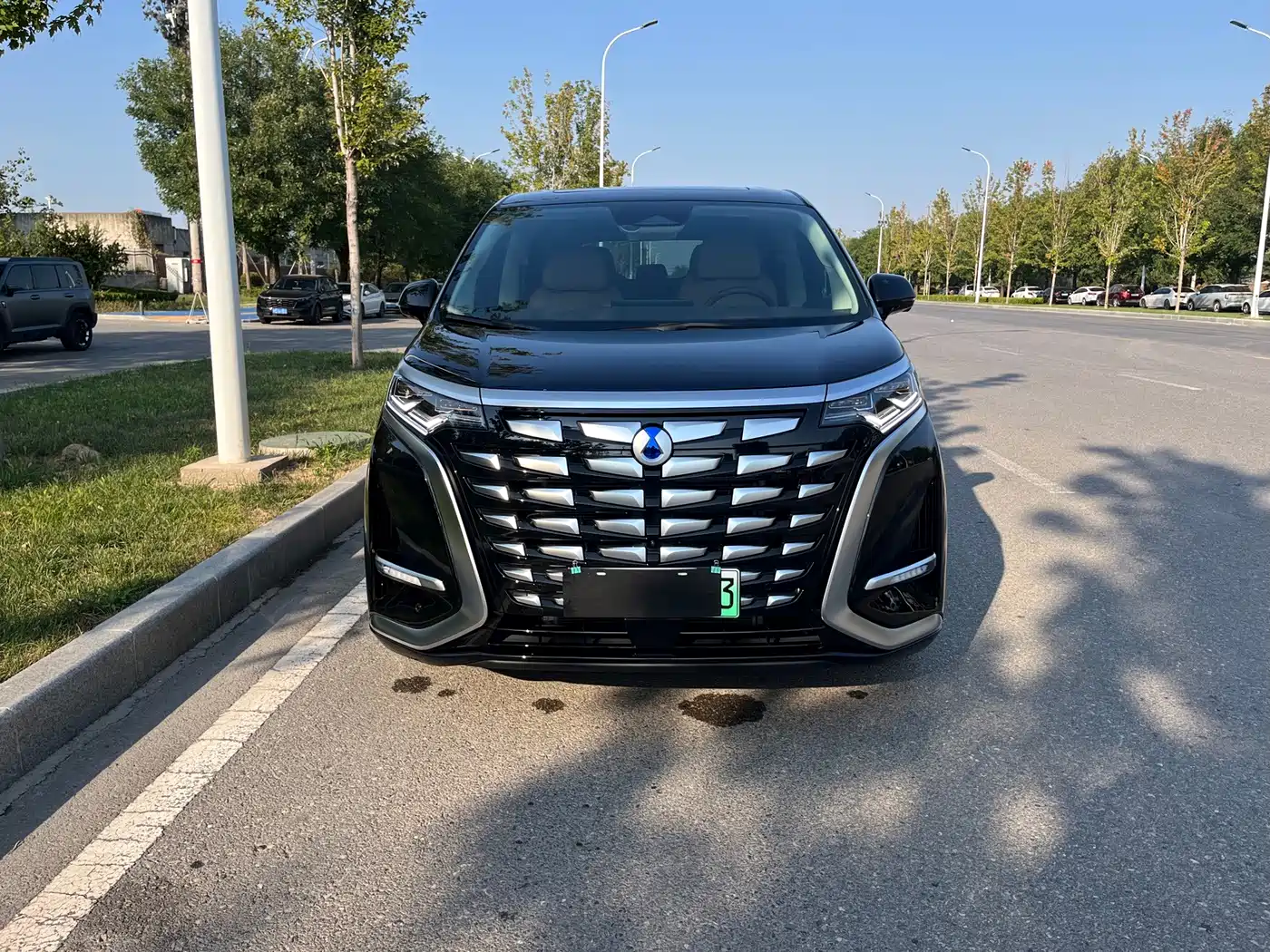 2026 Denza D9