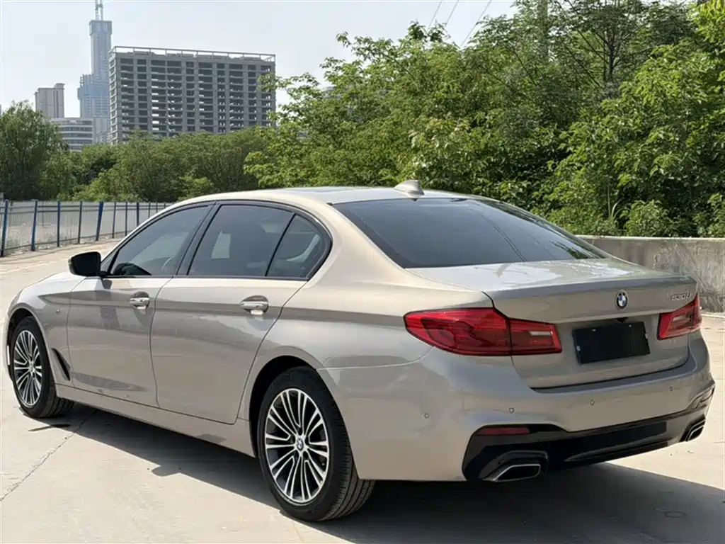 BMW 5 Series 2018 Facelift 530Li Exclusive Luxury Package фото 5