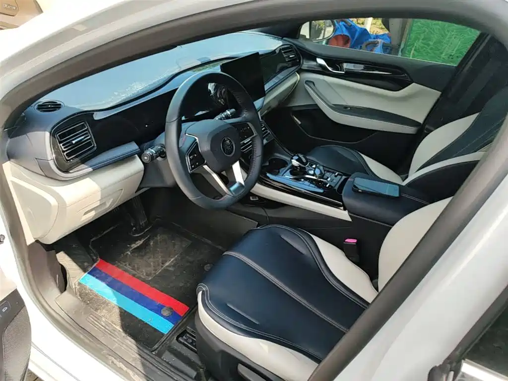BYD Qin PLUS 2021 DM-i 55KM Premium фото 16