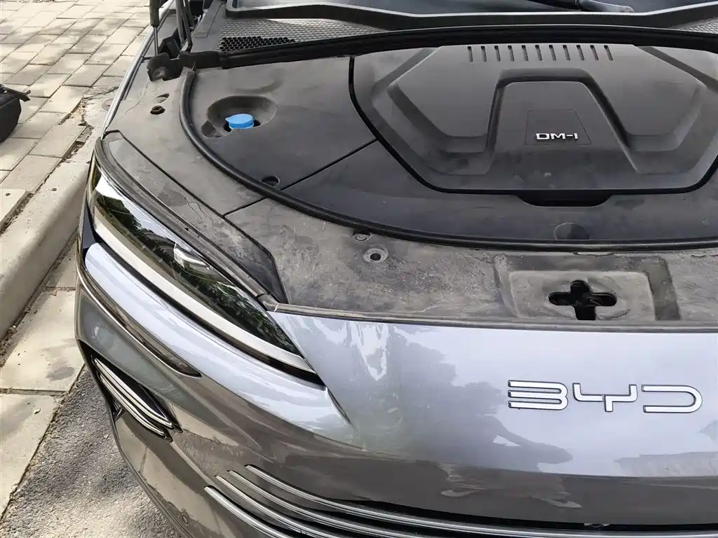 BYD Song PLUS PHEV 2024 Glory Edition DM-i 71km Luxury фото 21