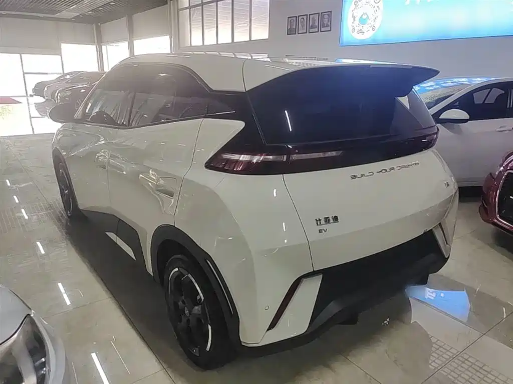 BYD Seagull 2024 Glory Edition 405km Soaring Edition фото 5