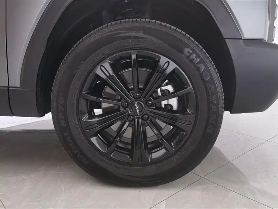 HAVAL RAPTORS NEW ENERGY