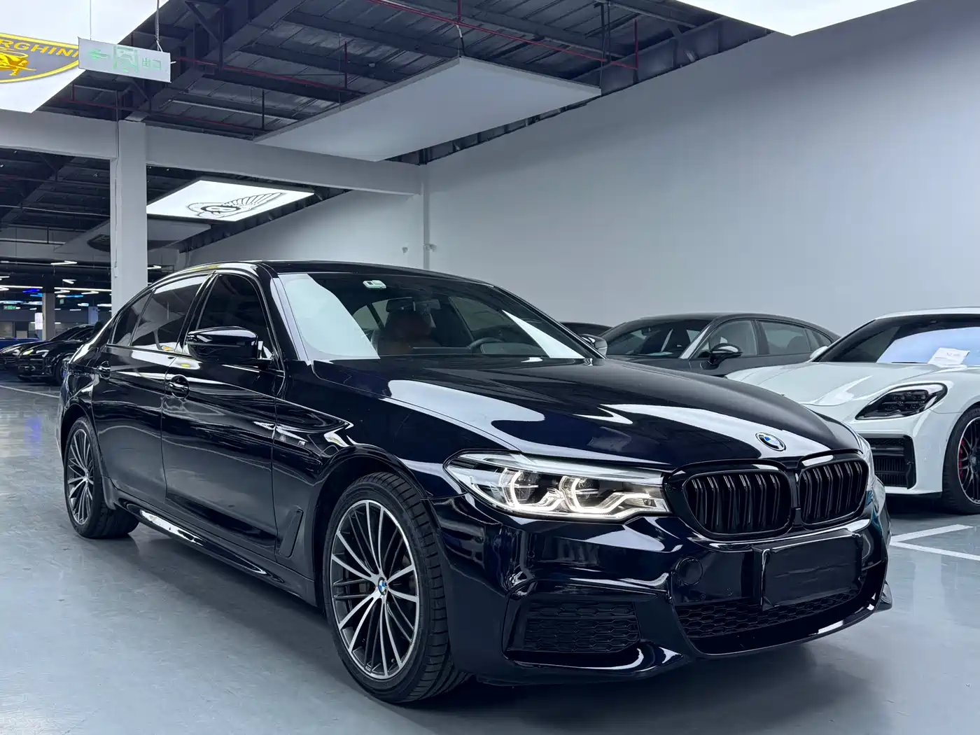 BMW 5 Series 2020 530Li Leading M Sport Package фото 3